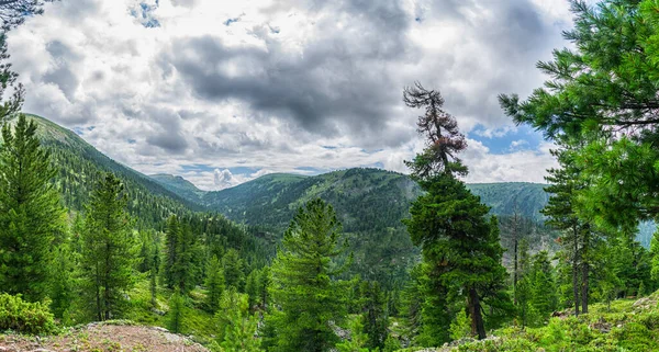 Hermosa Vista Desde Borde Del Acantilado Cordillera Cubierta Bosque Coníferas — Foto de Stock