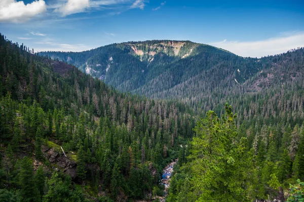 Herrliche Aussicht Vom Felsrand Auf Eine Bergkette Mit Nadelwald Mit — Stockfoto