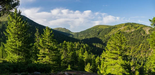 Panorámás Táj Kilátás Hegység Tűlevelű Erdő Vad Taiga Szibéria Oroszország — Stock Fotó