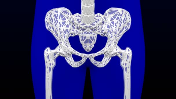 健康な骨と骨粗しょう症骨 つのルミナンス マット 骨格と体 レンダリング — ストック動画