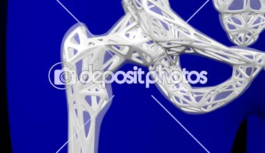 Sağlıklı kemik ve Osteoporoz kemik. Loopable. İki luma Mat (iskelet ve vücut). 3D render.