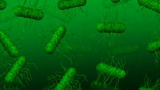 Bacterias Verdes Moviéndose Sobre Fondo Verde Oscuro Macro Loopable Renderizado — Vídeos de Stock
