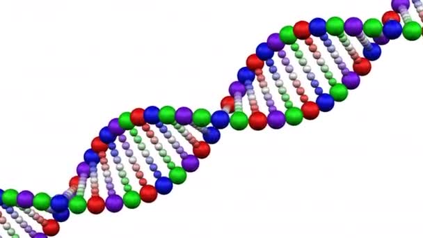 Creation Dna Molecule Rotation Dna Molecule White Background Loopable Luma — Stock Video