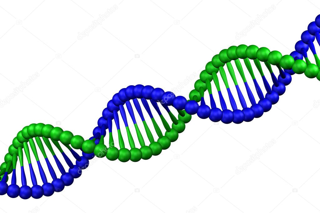 DNA molecule, isolated on white background. 3D rendering.