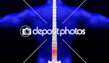 Alt sırt ağrısı. Omurga üzerinde yanıp sönen kırmızı. Loopable. Luma mat. 3D render.