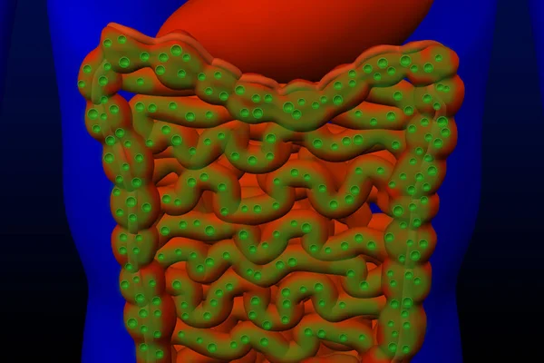 Winderigheid Illustratie Man Met Intestinale Gassen Rendering Stockfoto