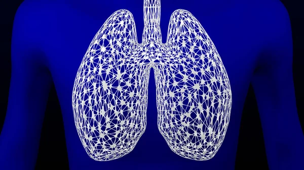 Concepto: pulmones. Renderizado 3D . —  Fotos de Stock