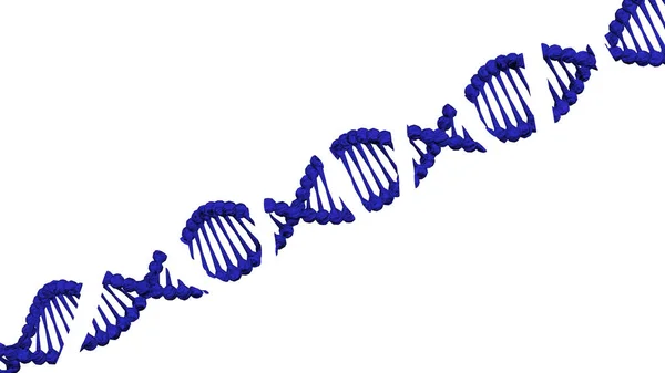 Rozpad molekuly DNA. prostorové vykreslování. Stock Obrázky