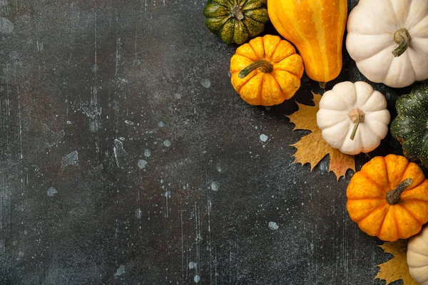 Glad Thanksgiving bakgrund med dekorativa pumpor — Stockfoto