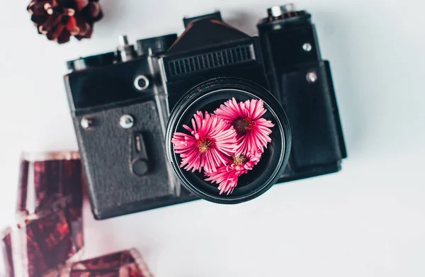 Vintage film camera, pink flowers and film