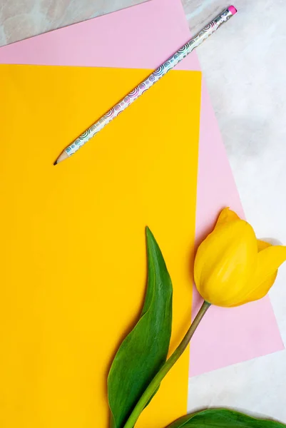 Tulipe jaune, crayon et papier coloré sur fond de marbre — Photo