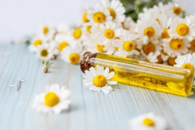 temel aroma yağı papatya tahta arka plan ile. seçici odak.