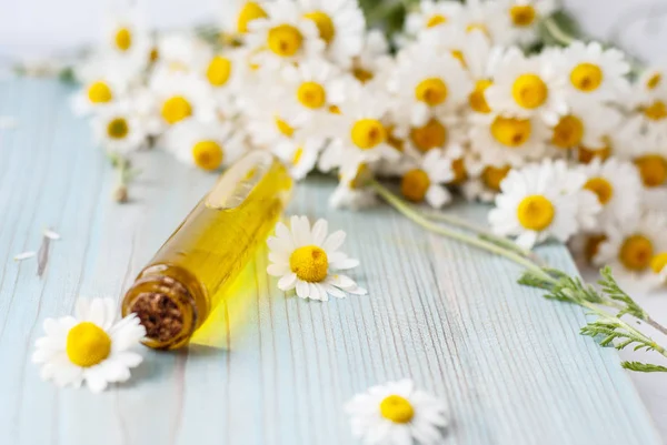 Aceite esencial de aroma con manzanilla sobre fondo de madera. Enfoque selectivo . —  Fotos de Stock