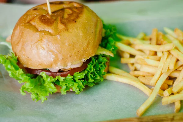 Hamburger de poulet fait maison avec frites — Photo