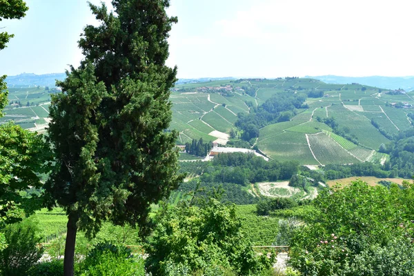 Die Langhe Landschaft Italien — Stockfoto