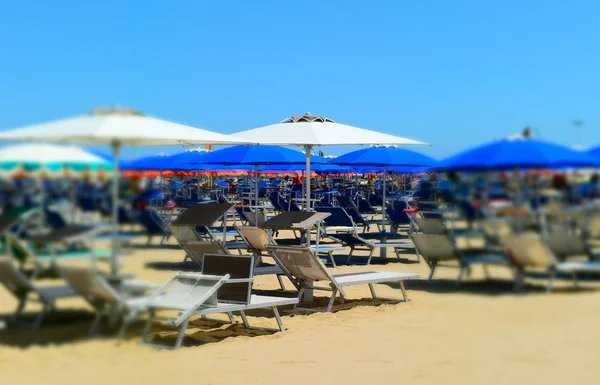 A beach crowded with umbrellas and beach loungers. Tilt-shift effect applied.
