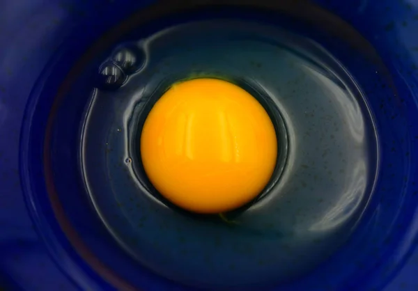 A raw egg of hen open on a blue background. Tilt-shift effect applied.