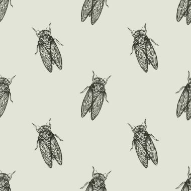 Elle çizilmiş ağustos böceği deseni. Klasik gotik böcek çizimi, kumaş veya duvar kağıdı baskısı için böcek vektör çizimi. Retro böcekli yinelenen tek renkli doku, dekoratif hayvan arkaplan tasarımı.