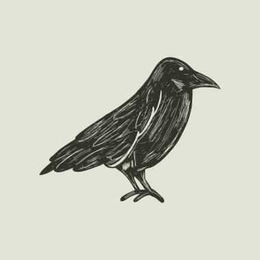 Bir kuzgunun el çizimi vektör çizimi. Eski bir ahşap kesim tarzında gotik siyah kuş sembolü. Cadılar Bayramı için mükemmel, dehşet verici, ya da gizli temalar.