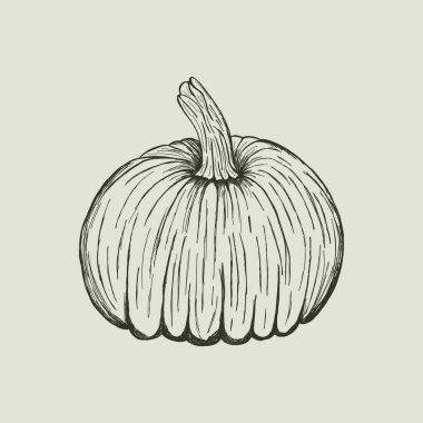 Balkabağının el çizimi vektör çizimi. Cadılar Bayramı veya Şükran Günü tasarımı için klasik sonbahar eskizi. Retro monokrom sonbahar hasat ikonu. Mevsimlik sebze, kabak elementi izole.