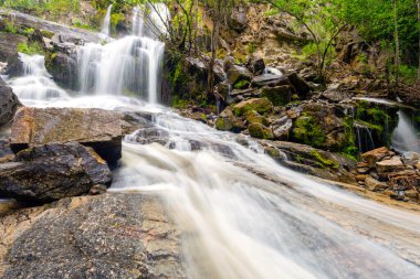 Naramata Şelalesi, Kanada 'nın Britanya Kolumbiyası, Naramata yakınlarında huzurlu bir ortamda canlı yapraklarla çevrili kayalar arasında zarif bir şekilde akar. Okanagan Vadisi 'nde..