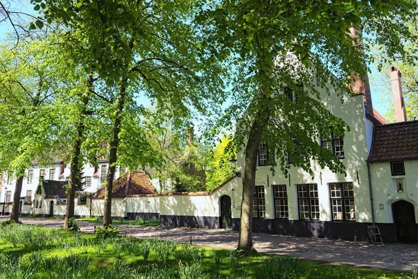 Mooie Traditionele Huizen Het Oude Centrum Van Brugge Nederlands Brugge — Stockfoto