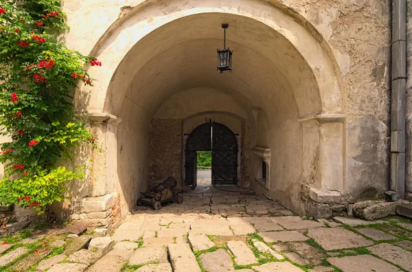 View of gate and old cannon near the enterance in ancient Olesko castle. Courtyard in castle. Lviv region in Ukraine. Cloudy summer day.
