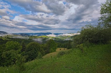 Sunrise orman ön planda manzarasında dumanlı dağ doruklarına yukarıda. Dramatik bulutlu gökyüzü. Synevyr Pass. Zakarpatska oblast, Ukraine.