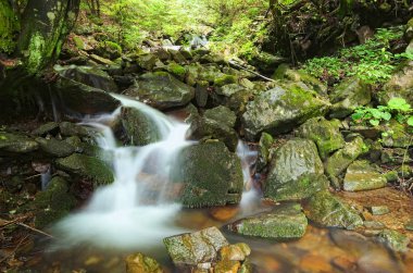 Küçük şelale ve taş derin ormanın içinde. Şelale manzarası güzel bir bakış. Zakarpattya, Ukrayna.