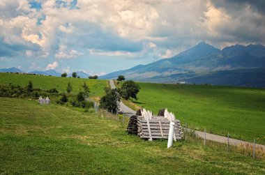 Orman dağlarında kadar önde gelen Asfaltlı yol. İnek sürüsü tepenin üst kısmında grazes. Slovakya, dalgalı çizgiler ve perspektif yaz saati.