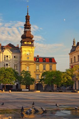 Ostrava, Çek Cumhuriyeti-Ağustos 18, 2018: Ostrava Müzesi Eski Belediye Binası Masaryk Meydanı Ostrava'bina. Güvercinler içmek su bir anahtarlı çeşme kapalı. Güzel yaz akşamında. 