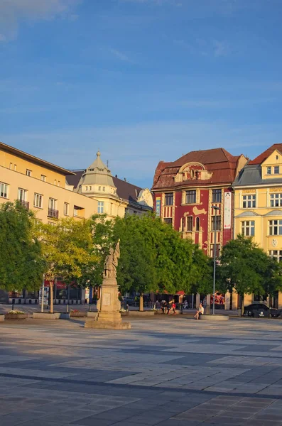 Ostrava República Tcheca Agosto 2018 Estátua Santo Florian Szech Socha — Fotografia de Stock