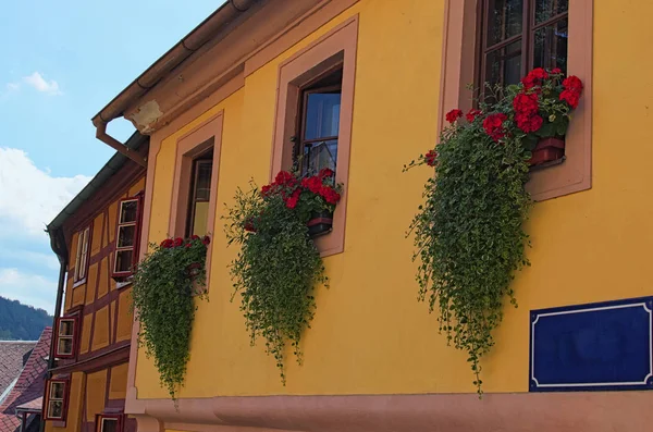 Bunte Fassade Eines Wohnhauses Mit Offenen Fenstern Die Mit Blumen — Stockfoto