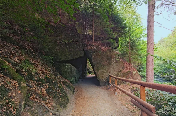 Narrow and winding hiking trail through the rock near flowing Kamenice river in green forest. Foggy morning view. Bohemian Switzerland National Park. Hrensko, Czech Republic.