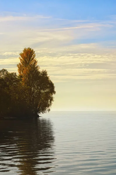 Reflexion Der Bäume Fluss Einem Sonnigen Herbsttag Konzept Von Landschaft — Stockfoto