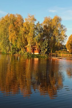 Terk edilmiş evde ve gölün ortasında ağaç ile ada. Sonbahar sabahı manzara. Eski köy Solotvin, Zhytomyr bölgesi, Ukrayna.