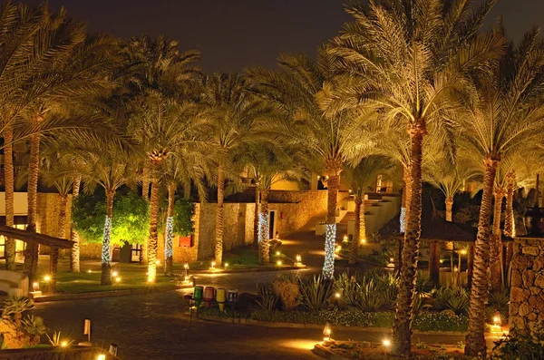 Vyhlídkové Noční Pohled Areálu Hotelu Palmami Iluminace Sharm Sheik Egypt — Stock fotografie