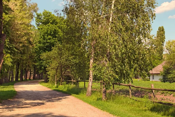 Narrow winding dirt road with poplars and birch along the curb. Typical road in ancient Ukrainian village. Pereyaslav-Khmelnitsky Museum of Folk Architecture and Life of the Middle Naddnipryanshchyna