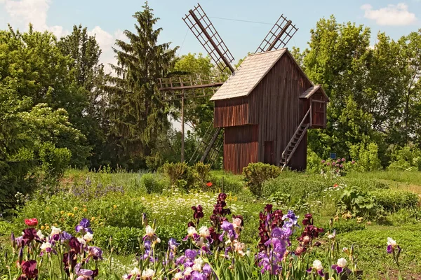 Koncept historických budov z dávné Ukrajiny. Úchvatná krajina se starým dřevěným větrným mlýnem. Pereyaslav-Khmelnitský Muzeum lidové architektury a života středního Naddnipryanšchyna — Stock fotografie