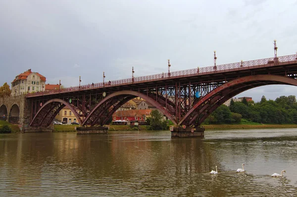 Nublado día de otoño en Maribor. Puente viejo sobre el río Drava reflejado en el agua. Grupo de cisnes blancos nadando cerca de la orilla del río. Concepto de viajes y turismo. Maribor, Eslovenia — Foto de Stock