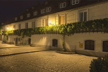 Dünyanın en eski üzüm üzümünün sonbahar sabahı manzarası. Lower Styria, Maribor, Slovenya. Manzara ve doğa kavramı