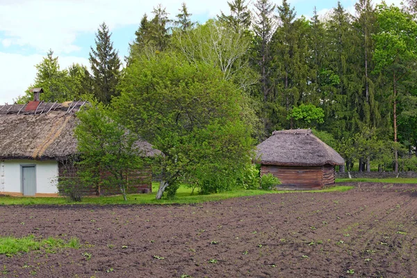晴れた日にはウィッカーフェンスに囲まれた庭とウクライナの小さな古代の粘土の家の古典的な風景 古代ウクライナの歴史的建造物の概念 — ストック写真