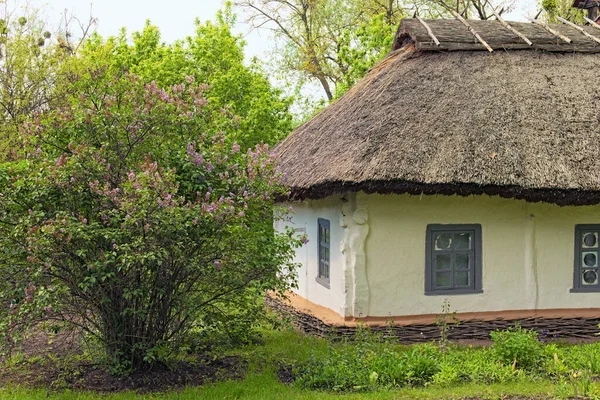 Nahaufnahme Des Kleinen Alten Lehmhauses Unter Strohdach Mit Garten Sonnigen — Stockfoto