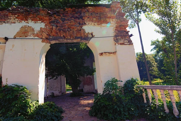 Pintoresca Vista Abandonar Viejo Edificio Blanco Con Árbol Interior Arboretum — Foto de Stock