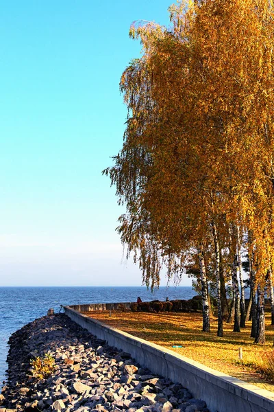 Sorprendente Paisaje Otoñal Estrecha Pasarela Largo Del Terraplén Del Río —  Fotos de Stock