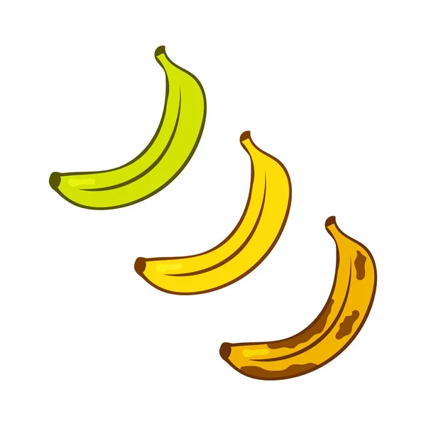 녹색, 잘 익은 노란색, 갈색 바나나입니다. 바나나 성숙 컬러 만화 아이콘 세트입니다. 만화 스타일 그림 흰색 배경에 고립. — 스톡 벡터