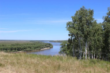 Açık bir günde Irtysh Nehri 'nin kıvrımı