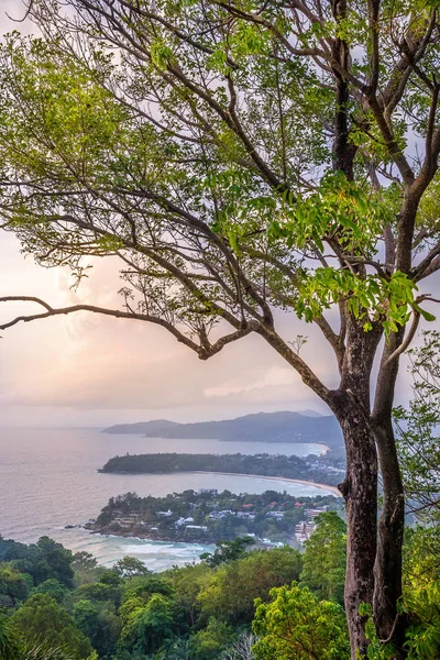 Meer Landschaft Natur Mit Baum Und Sonnenuntergang Der Dämmerung Phuket — Stockfoto