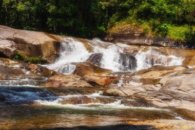 Yeşil ağaç manzaralı ormana su düşer. 