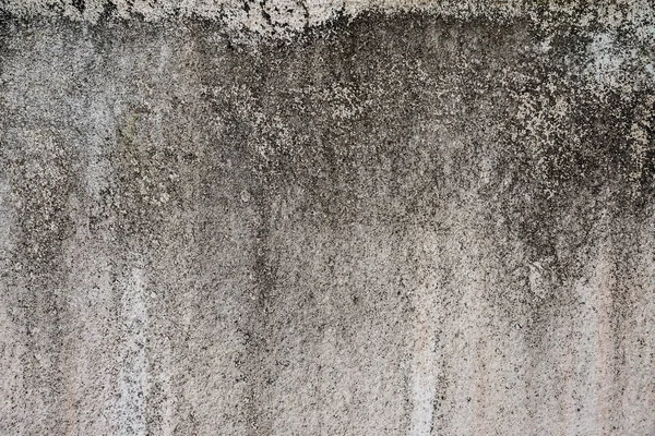 Cemento e coccreta grunge texture — Foto Stock